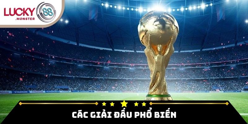 Các Giải Đấu Phổ Biến